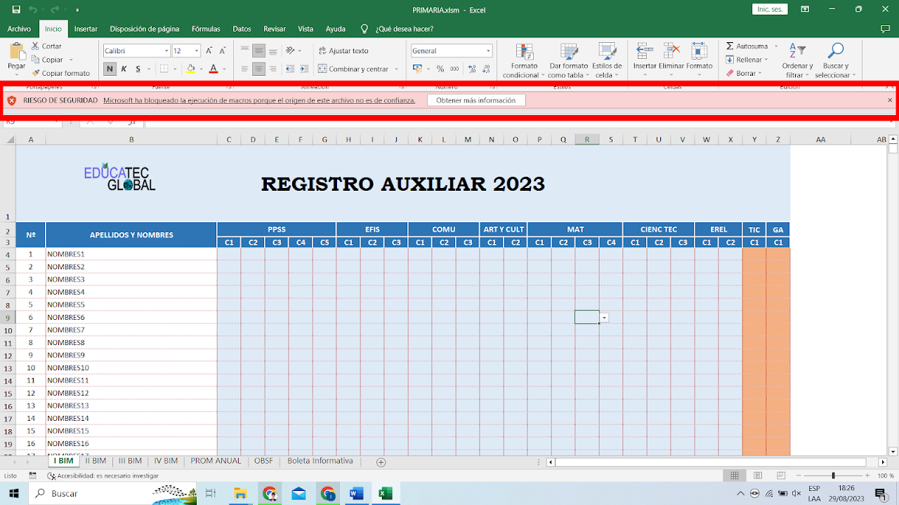 Vista previa del registro auxiliar editable en Excel